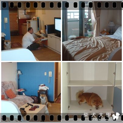 KEN家 高雄6天5夜行(原發表者:KEN家)(相簿)