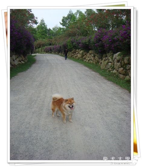 KEN~台中新社莊園(原發表者:KEN家)(相簿)