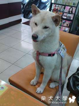 好久不見~錢錢來也(原發表者:錢錢麻)(相簿)