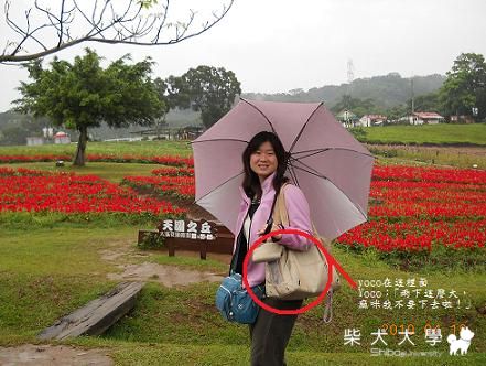 0418大溪花海半日遊(原發表者:chaintai)(相簿)