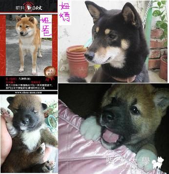 寶貝妞妞~三個多月大嚕(第一次po照^^)~*(原發表者:妞妞媽媽)(相簿)