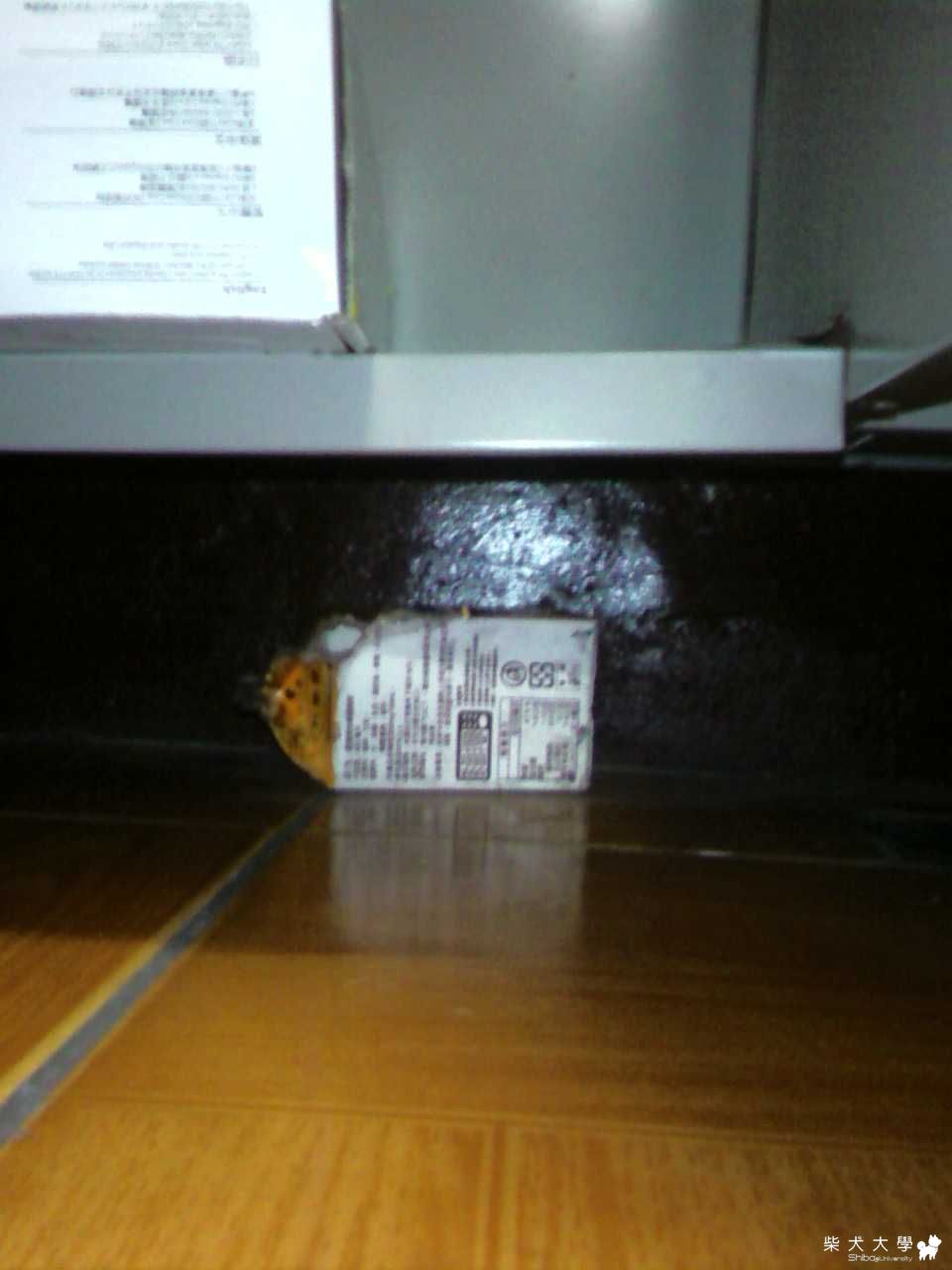 咖啡大盜(原發表者:弟弟家)(相簿)