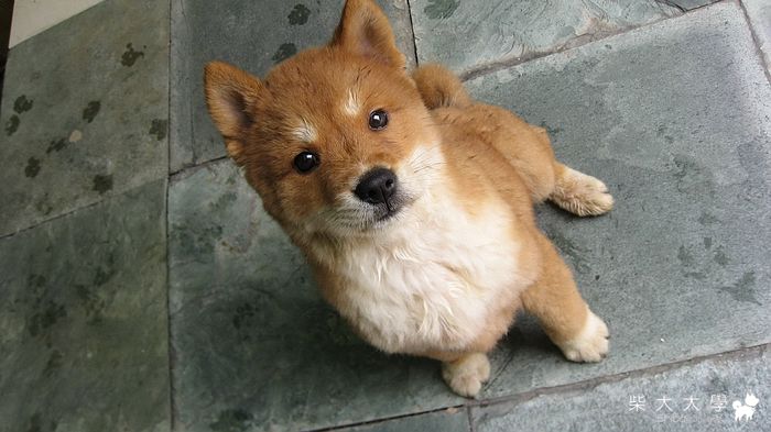 大家說我有没有变瘦啦？(原發表者:隆隆麻麻)(相簿)