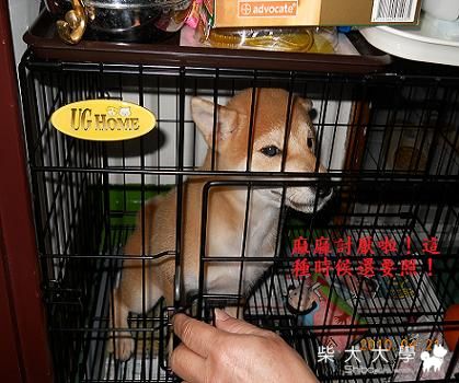 超享受的啦！(原發表者:chaintai)(相簿)