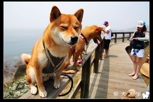 賤胚團小琉球之旅~~~真是賤的啦(下集)(原發表者:財妹拔拔)(相簿)