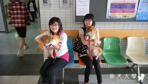 瑪莉帶你「狗」校慶(原發表者:小米ˇ)(相簿)