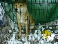 破壞後的現場(原發表者:小雪姐)(相簿)