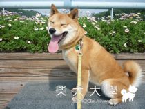 霧峰921地震教育園區(原發表者:小雪姐)(相簿)