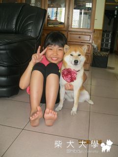 小楓與姐姐(原發表者:小楓媽)(相簿)