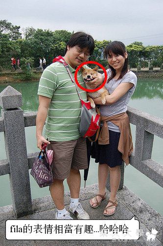 fila去基隆情人湖拍的照片(原發表者:皮蛋)(相簿)