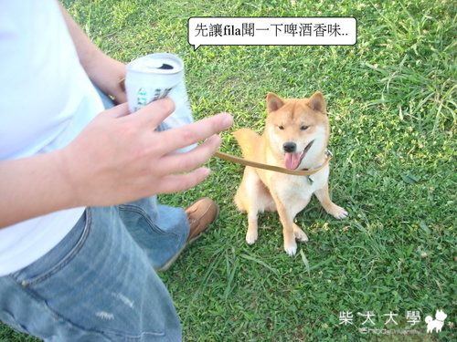 迎風參加50公尺跑步比賽(原發表者:皮蛋)(相簿)