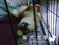 被吵醒的妹妹(原發表者:小雪姐)(相簿)