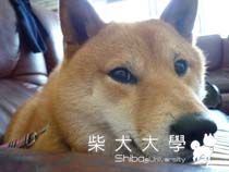 悠閒寫真(原發表者:小雪姐)(相簿)