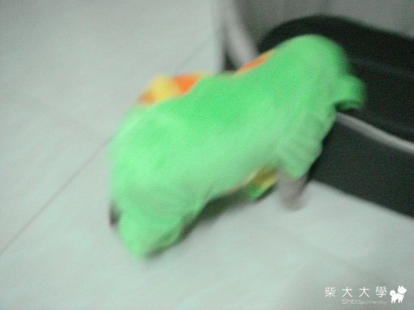 0523 ♥ 強迫穿衣(原發表者:哈哈麻)(相簿)