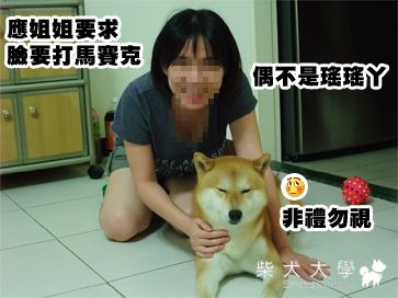 熱騰騰家居照(原發表者:yudogdog)(相簿)