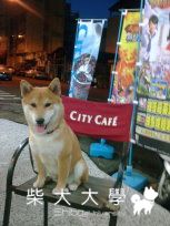 CITY CAFE(原發表者:nike200634)(相簿)