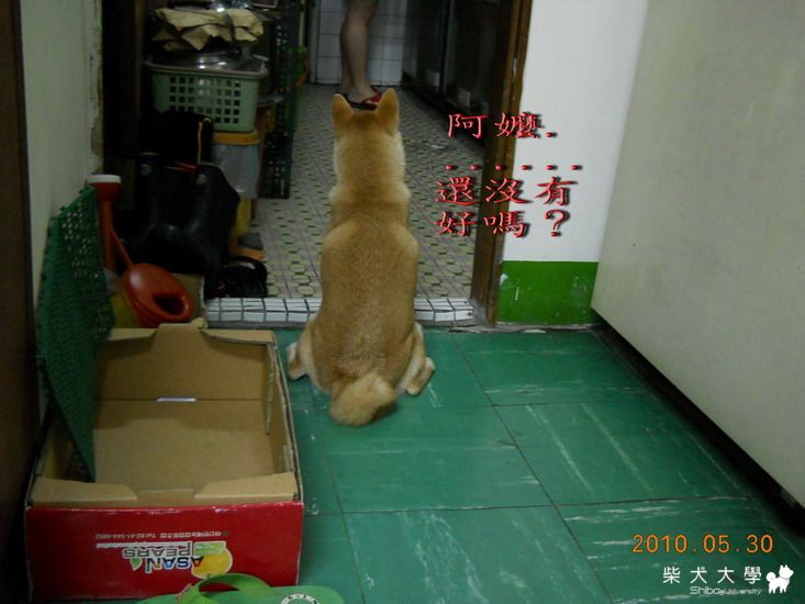 還沒有好嗎？(原發表者:chaintai)(相簿)