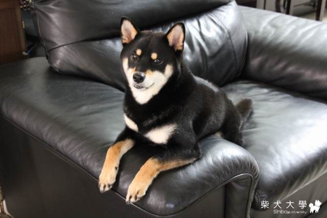 隨拍(原發表者:大尾仔)(相簿)