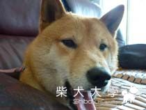 各種表情1(原發表者:小雪姐)(相簿)