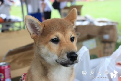 5/29 碧兒 飛牛行(原發表者:Bart)(相簿)