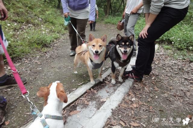 台中霧峰_桐林鄉_登山步道(原發表者:Otaku&比魯家)(相簿)