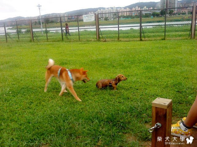 一柴獨占空蕩蕩的迎風～(原發表者:Fighter爸)(相簿)