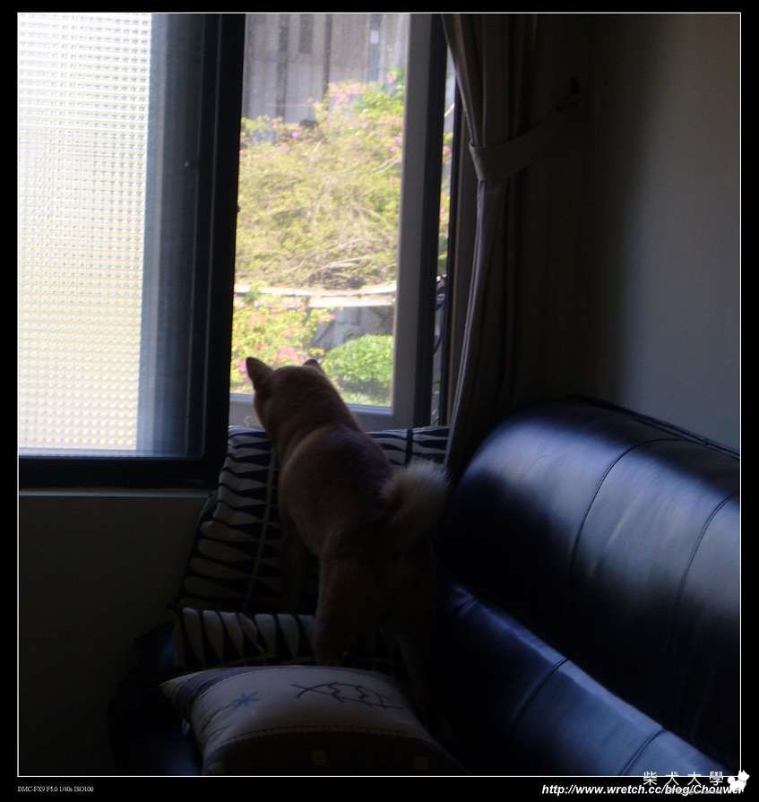 有沒有這麼想出門阿~(原發表者:小卡麻)(相簿)