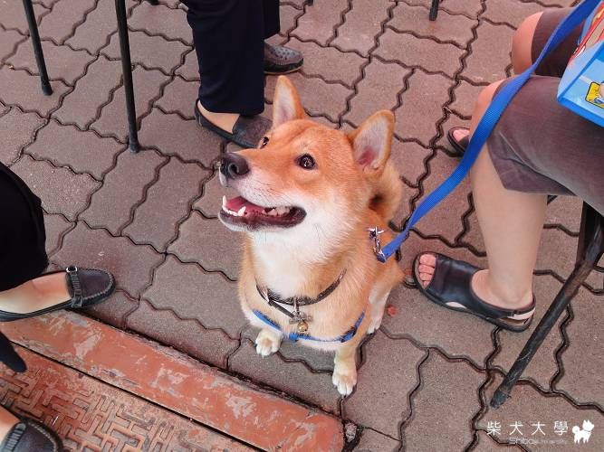 畢業囉(原發表者:伊努媽)(相簿)