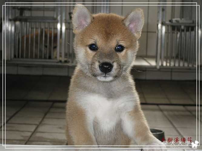 凱莉的小女兒(原發表者:unkikicoco)(相簿)