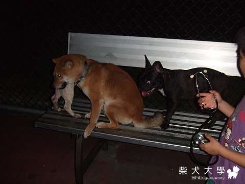 端午跑跑驚嚇記～(原發表者:Fighter爸)(相簿)