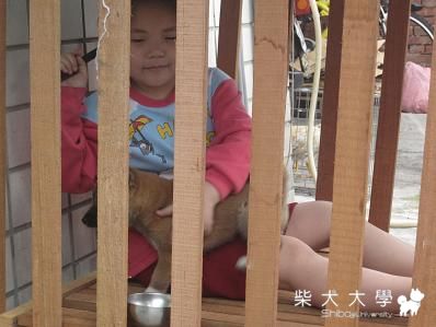 我家狗屋住的是...........(原發表者:天生神準)(相簿)