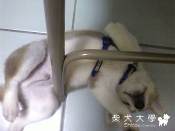 麻麻好熱好熱(原發表者:DiDi媽)(相簿)