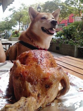 秋秋過端午(原發表者:阿秋爸)(相簿)