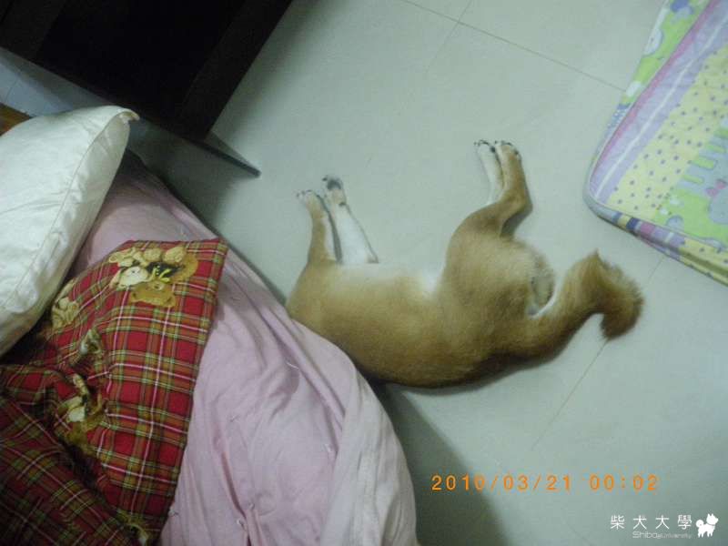 是想要嚇誰阿(原發表者:小虎麻)(相簿)