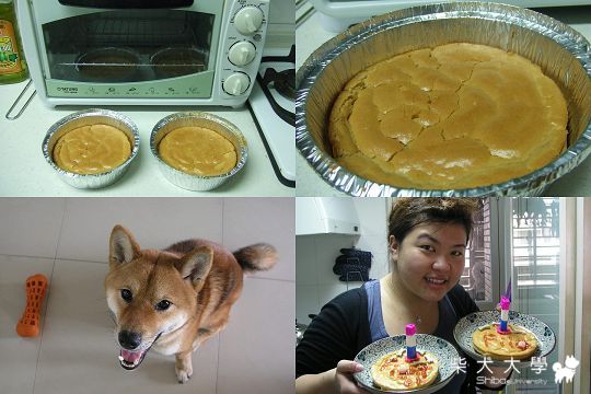 Happy Birthday to Fighter＆Fila　～(原發表者:Fighter爸)(相簿)