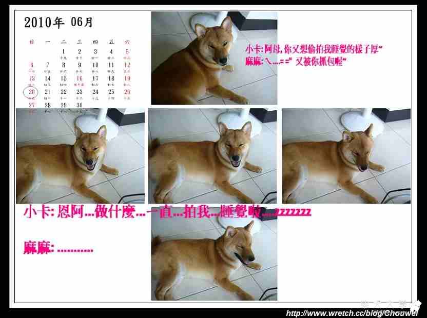 難得拍到睡覺樣子的小卡~(原發表者:小卡麻)(相簿)