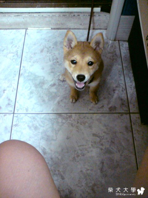 好捨不得分開(原發表者:HomeHome媽)(相簿)