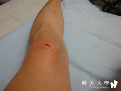 灰心～切心～被咬(原發表者:rita2001)(綜合討論)