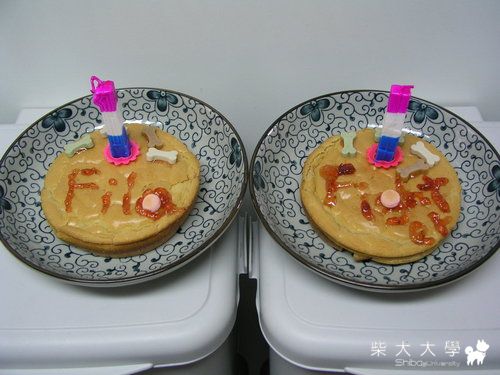 只有2隻狗狗的簡單生日趴，fila一歲了(原發表者:皮蛋)(相簿)