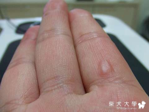 媽媽真偉大～(原發表者:Fighter爸)(相簿)