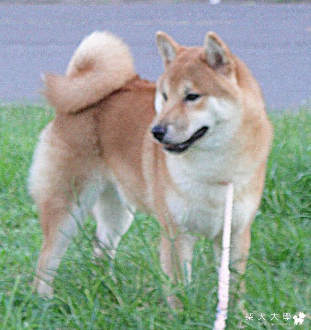 屏東台糖小時偷閒放風記(原發表者:小恩)(相簿)