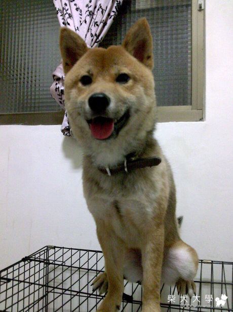 Happy像熊寶貝:)(原發表者:Happy媽)(相簿)