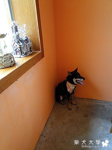 6/26健醬的Dotel第一次柴聚(原發表者:sevillanas)(相簿)