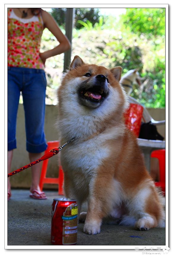 0627烤肉烤人烤柴柴..................(原發表者:even)(相簿)