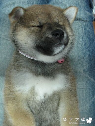 女大18變(原發表者:Bart)(相簿)