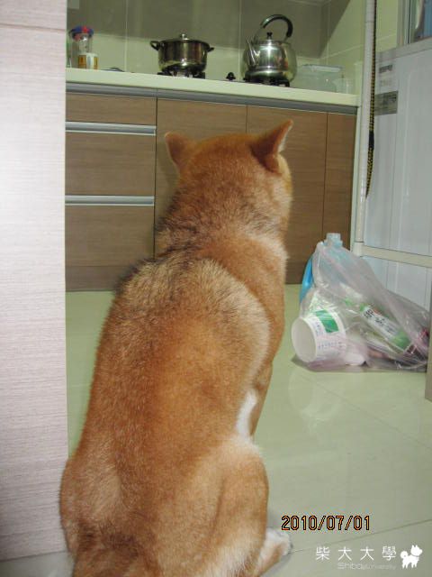 揪肝心ㄟ................(原發表者:庫奇哥)(相簿)