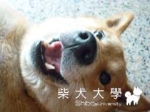 妹妹的各種可愛表情(原發表者:小雪姐)(相簿)