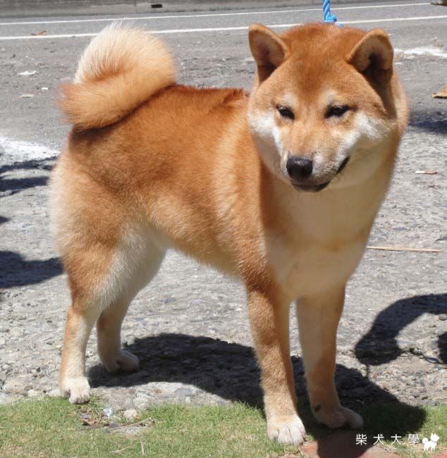 小恩六個月大之墾丁寫真加成長記錄(原發表者:小恩)(相簿)