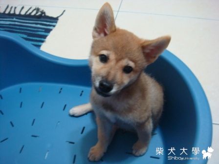 你這樣我怎麼讀書拉！！(原發表者:蔡佳玲)(相簿)