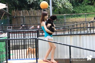 0710 - GoodDog 餐廳游泳(原發表者:Bart)(相簿)